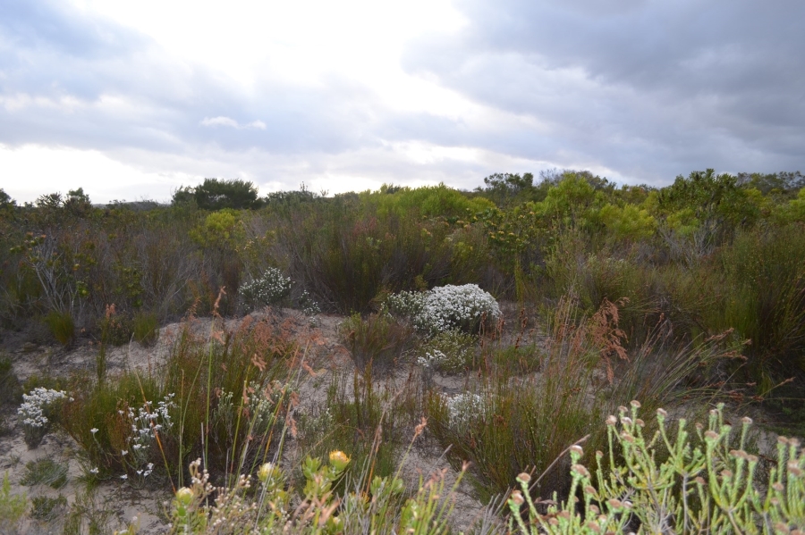 0 Bedroom Property for Sale in Gouritsmond Western Cape
